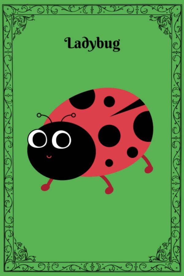 Ladybug: Best ladybug Notebook | Journal For Ladybug Lovers (6" x 9") - 120