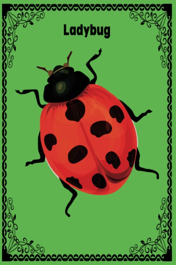 Ladybug: Best ladybug Notebook | Journal For Ladybug Lovers (6" x 9") - 120