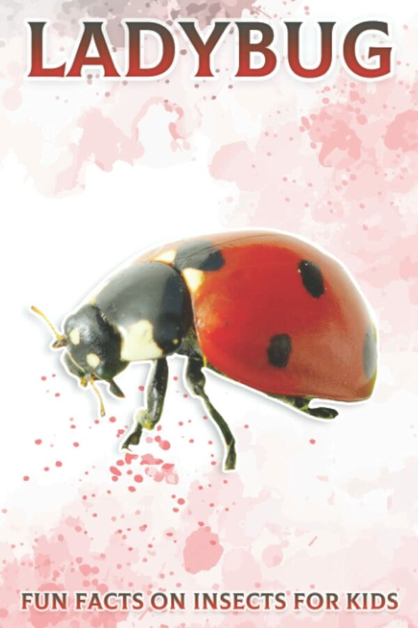 Ladybug: Fun Facts on Insects for Kids #20