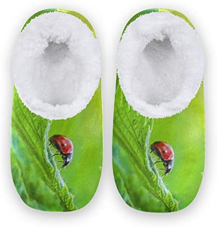 linomo Zapatillas de casa unisex con hojas verdes y mariquitas, para invierno, cálidas, para interior, para dormitorio, calcetines