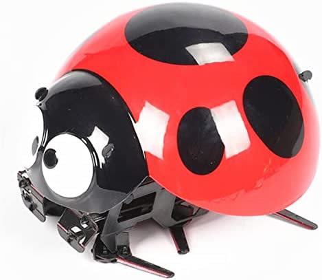 ELKeyko RC Ladybug Robot Simulated Intelligent Home Robot al Aire Libre Divertido Niños Plástico Niños Regalo Insecto Control Remoto Juguete