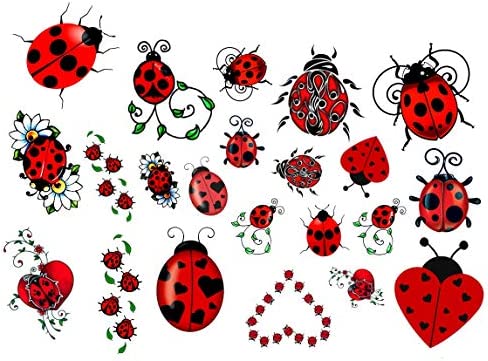 Ladybird Ladybug mariquita Colección cOLLECTION (Ladybird Tattoos c2)