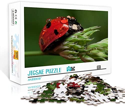 Puzzle para Adultos 1000 Piezas Ladybug Classic Puzzle Juego de Rompecabezas de Juguete Regalo de Viaje a casa 75x50cm Rompecabezas de desafío Intelectual par