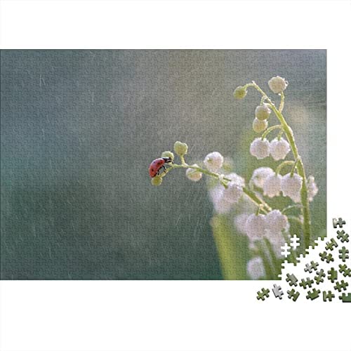 Puzzle para Adultos 1000 Piezas- Ladybug in The Rain -Puzzle para Adultos Y Niños，puzle Pedagógico,El Alivio del Estrés Juguete Relajante Juego Divertido。1000pcs (75x50cm)