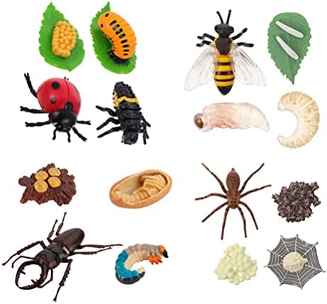 TOYANDONA 4 Juegos de Figuras de Ciclo de Vida de Insectos Modelo de Crecimiento de La Torta Etapas de La Vida Juguetes Educativos para Niños Pequeños (Mariposas Ladybug Antler Bug Spider)